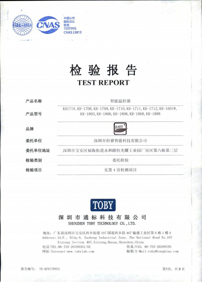 Inspection Report